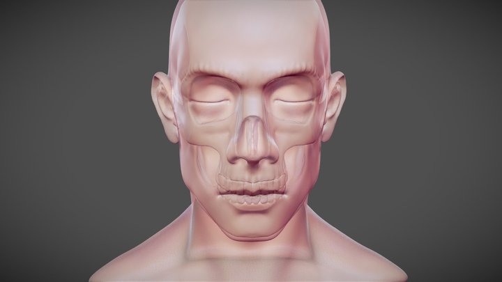 Closed eyes dude over skull 04 3D Model