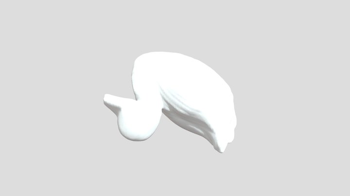 Duck 3D Model