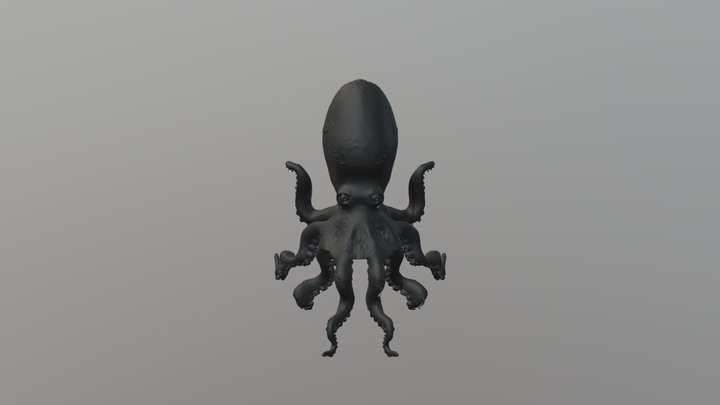 Octopus 3D Model