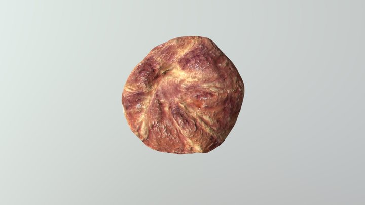 ut_jan_8_10_27_57_2019_GMT_obj 3D Model