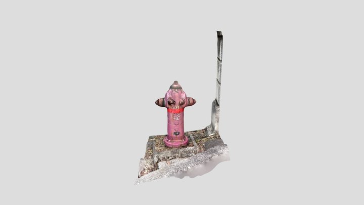消化器 3D Model