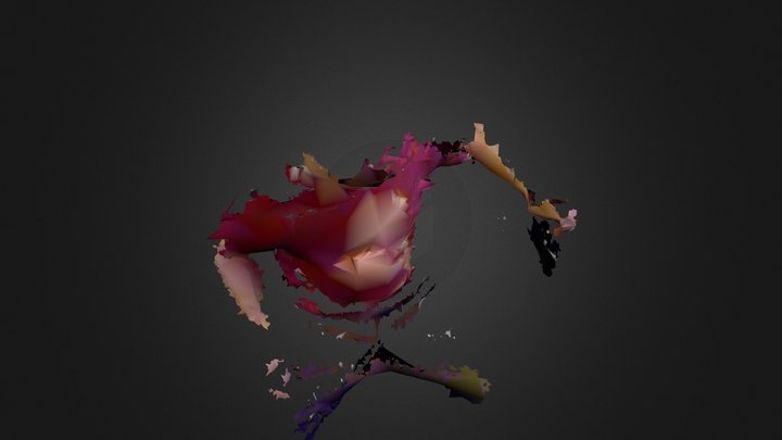 model 3D Model