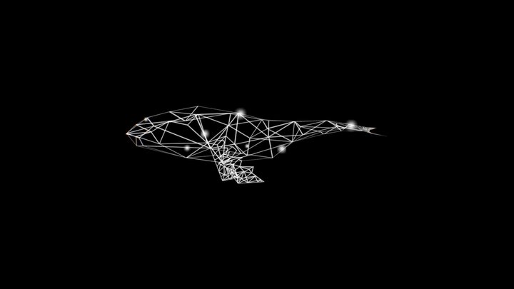 Whale Constellation 3D Model