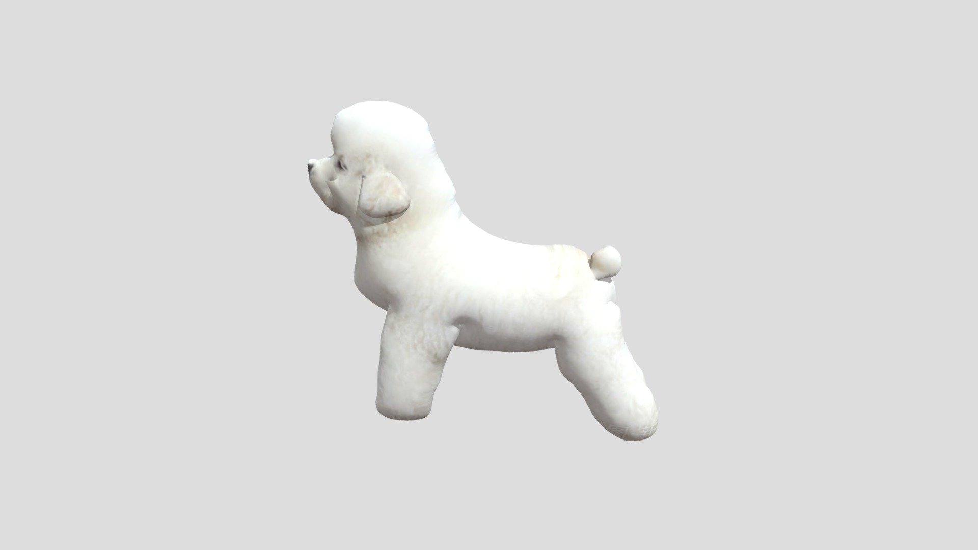 比熊犬 - Download Free 3D model by a150097 [8e7d45b] - Sketchfab