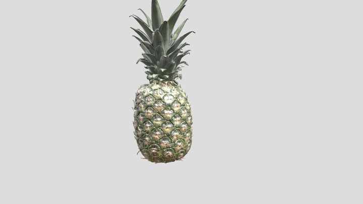 Pineapple 3D Model