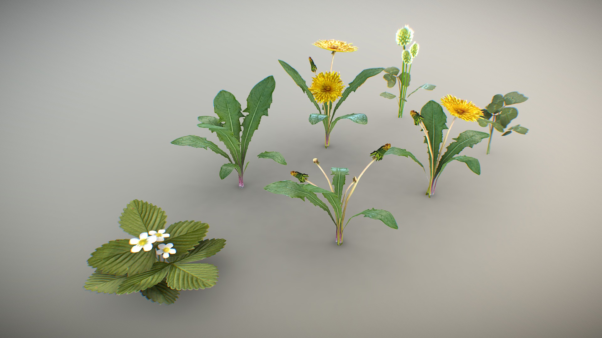 3D model Dandelion, Clover, Strawberry - This is a 3D model of the Dandelion, Clover, Strawberry. The 3D model is about a group of flowers.