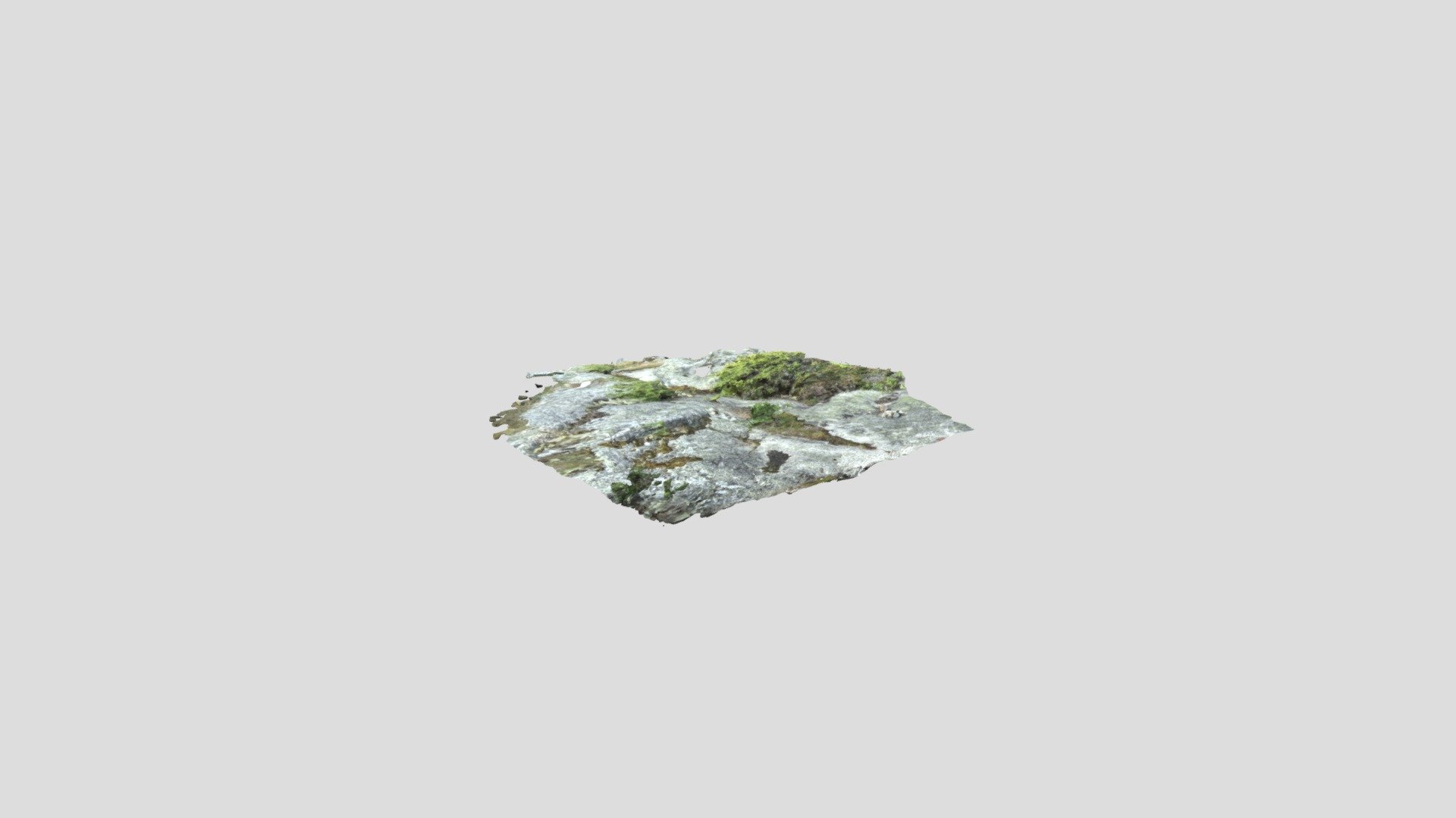 Bed Rock