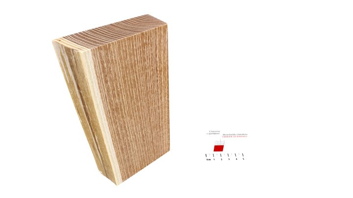 *Robinia pseudoacacia*-Black locust-robinija 3D Model