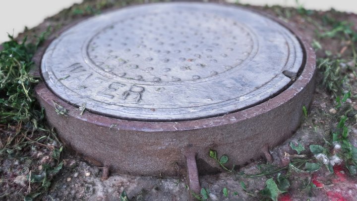Steel Sewer Water Lid Cover with Foliage 3D Model