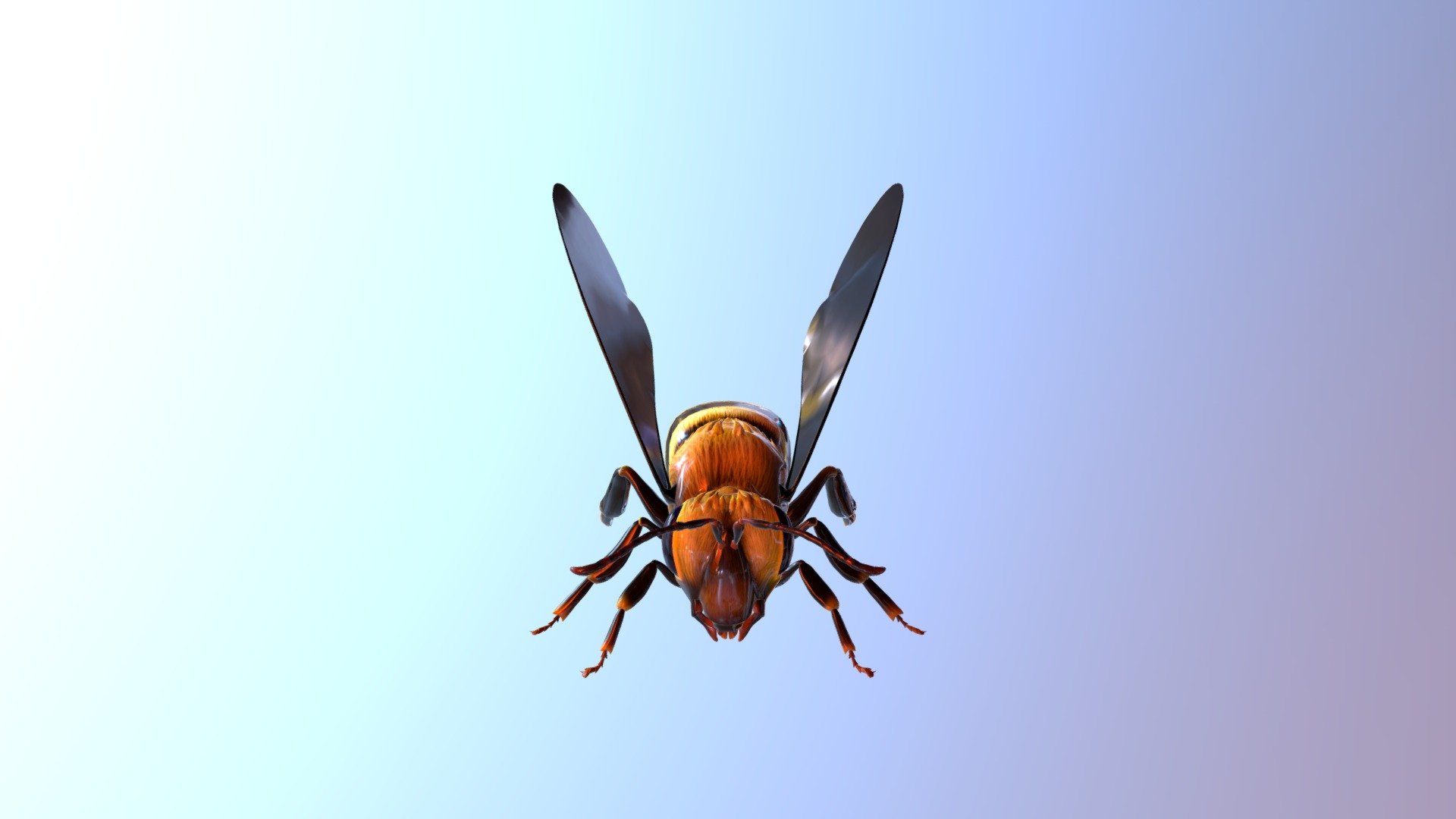 Bee - 3D Model By Vosje [8e88ce8] - Sketchfab