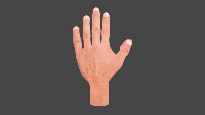 Lopwoly rigged hand in PSX/PS1 style 3D Model