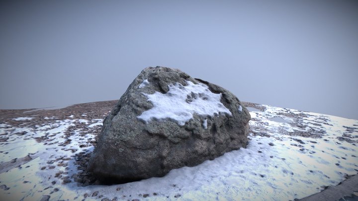 Photogrammetry Rock Test 01 3D Model