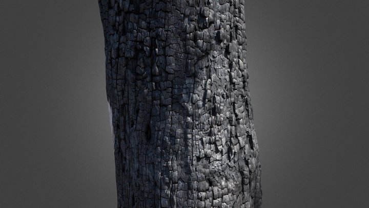 Burnt Native Tree 3D Model
