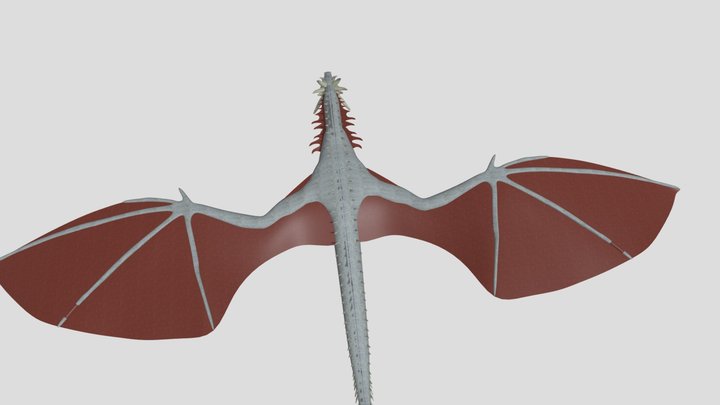 Dragon 3D Model