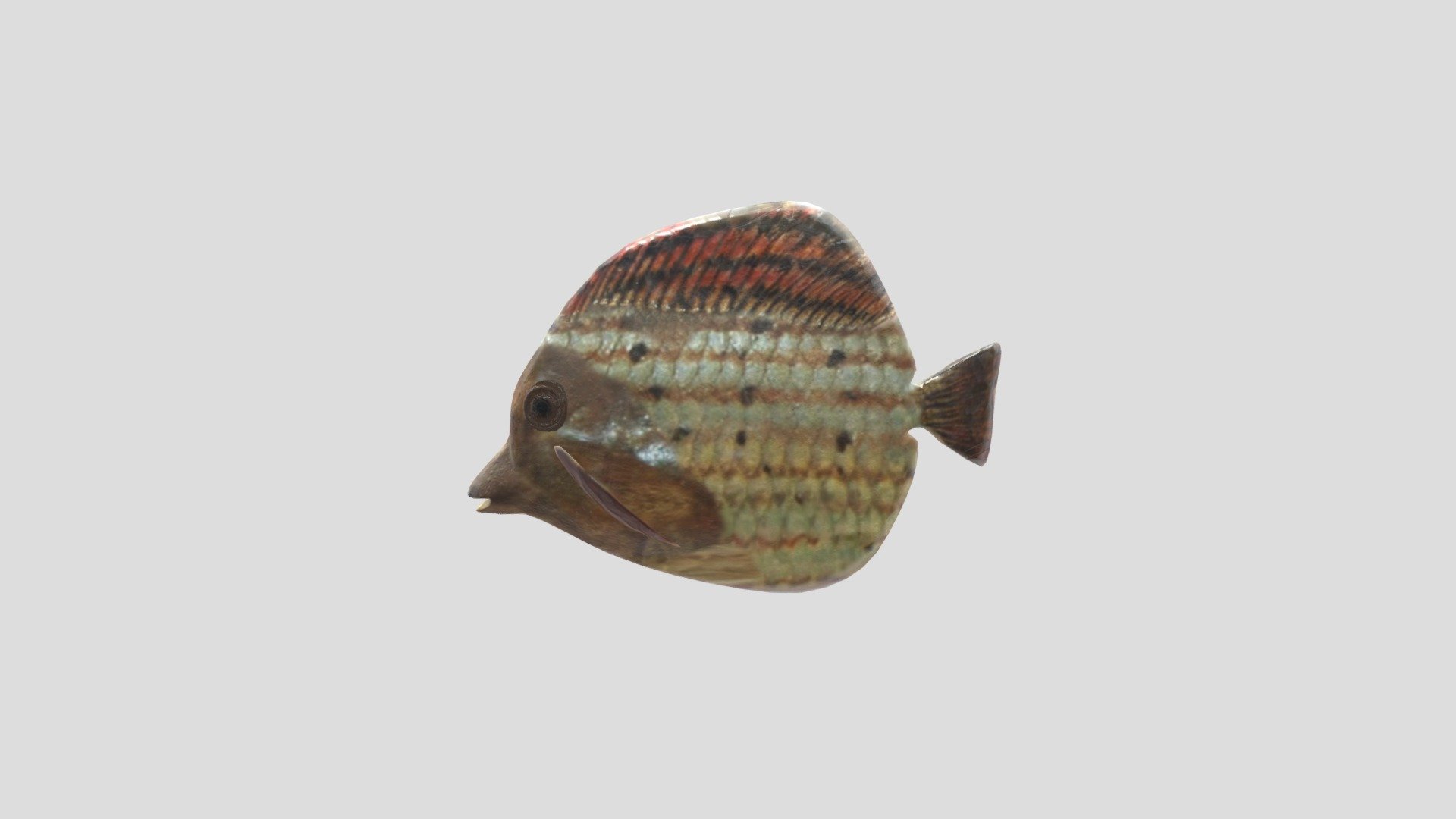 Fish — Sketchfab embed 3D viewer