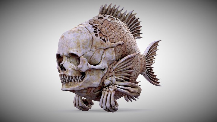 FISHHEAD 3D Model