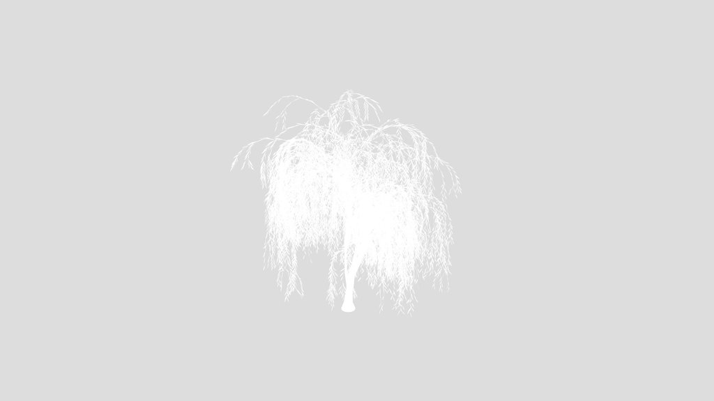 Small Willow 02