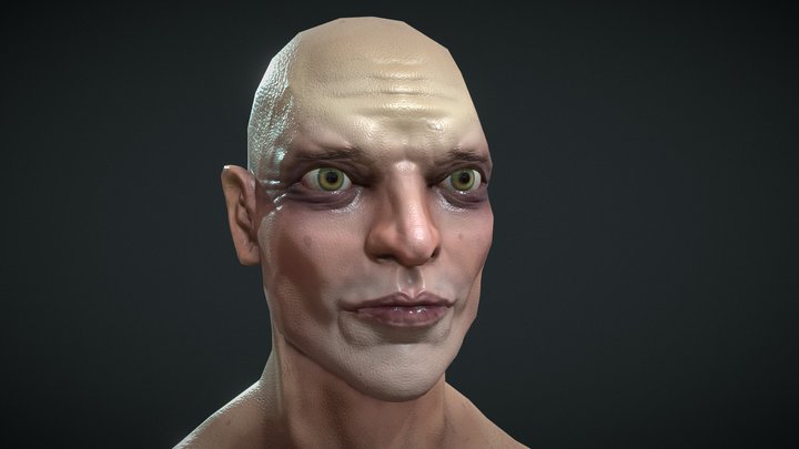 Head Study 2 3D Model