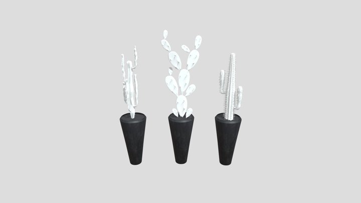 Sj Cactus Set 01