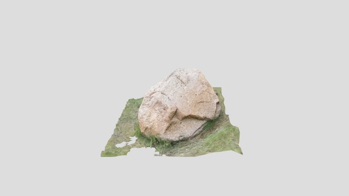 Meadow Rock 3D Model