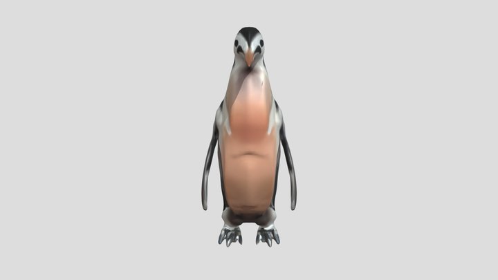 Duntroon Penguin 3d free model 3D Model