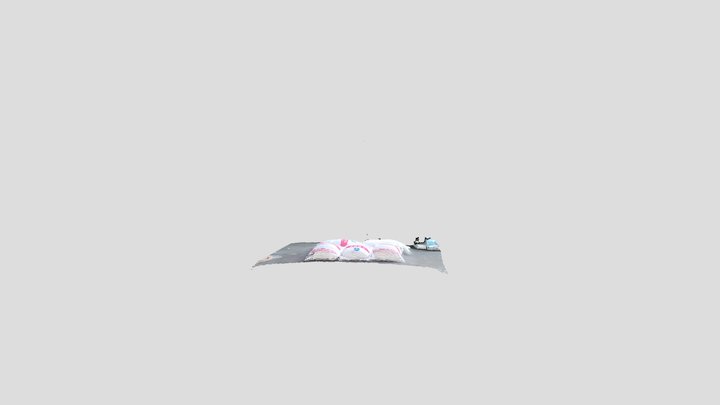 TOF point cloud 3D Model