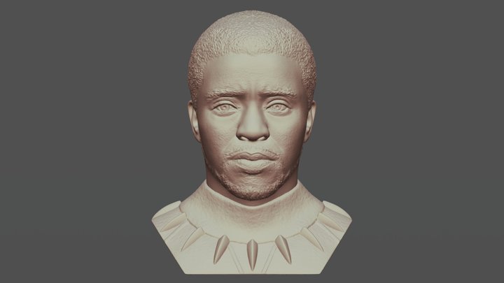 Chad Boseman Black Panther bust for 3D printing 3D Model
