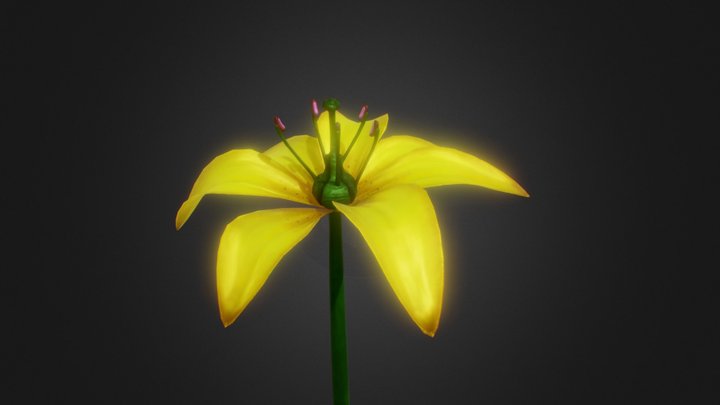 Flor 3D Model