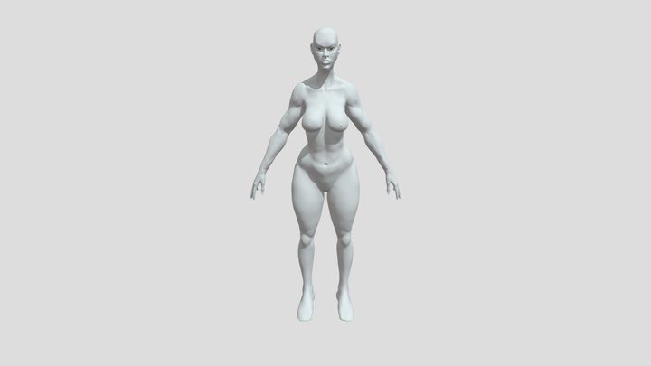 Anatomia 3D Model