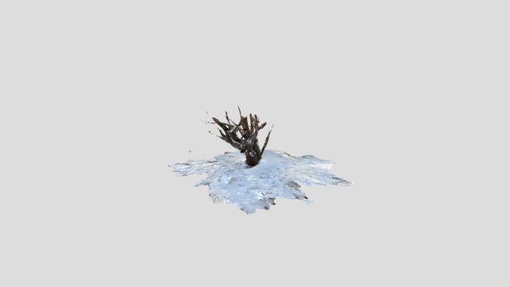 tree base 3D Model