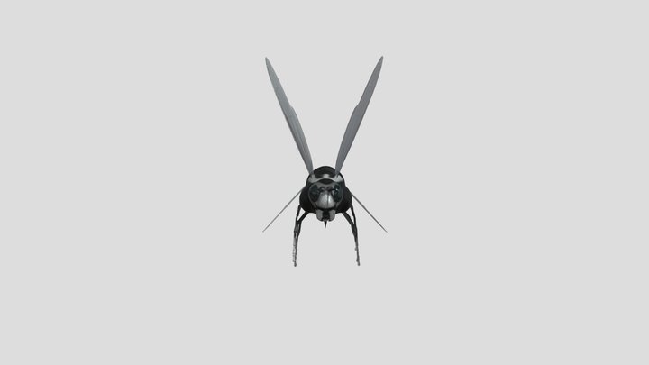 HORNET 3D Model