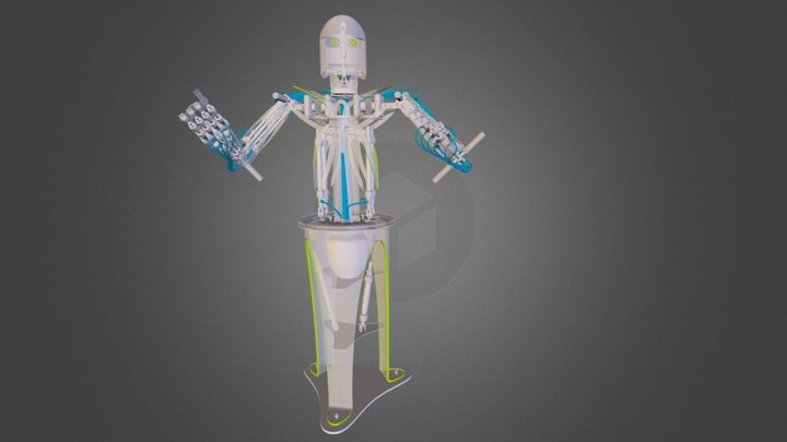 Sky Fall 3D Model