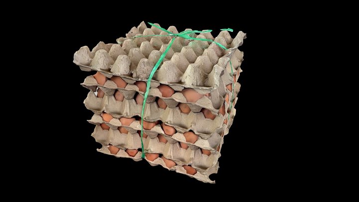 4 Trays of Eggs (Scaniverse) 3D Model