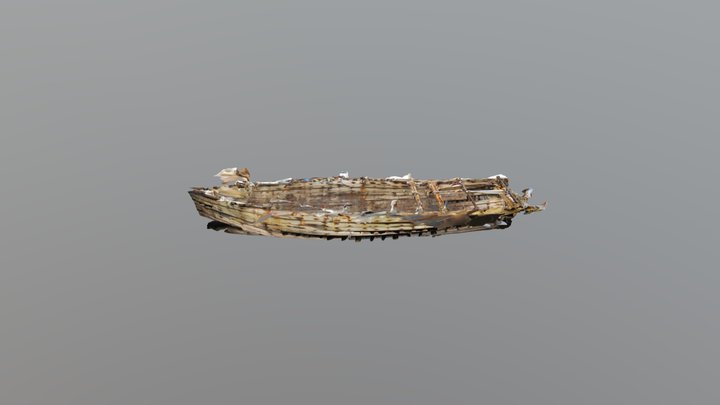 Interior of Daring Shipwreck-New Zealand 3D Model