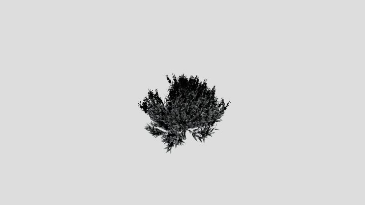 Shurb Caryopteris Bluebeard Animated – Modèle 3D gratuit STL