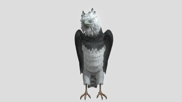 eagle harpy 3D Model