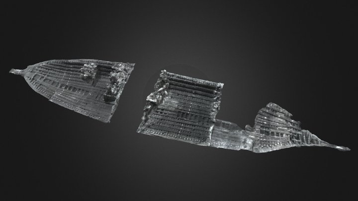 Épave de la Madrague de Giens (Ier s. av. n.è.) 3D Model