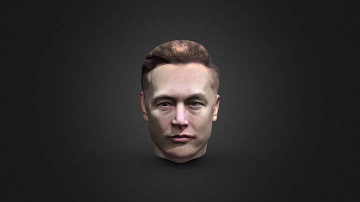 S00066 Elon Musk head 3D Model