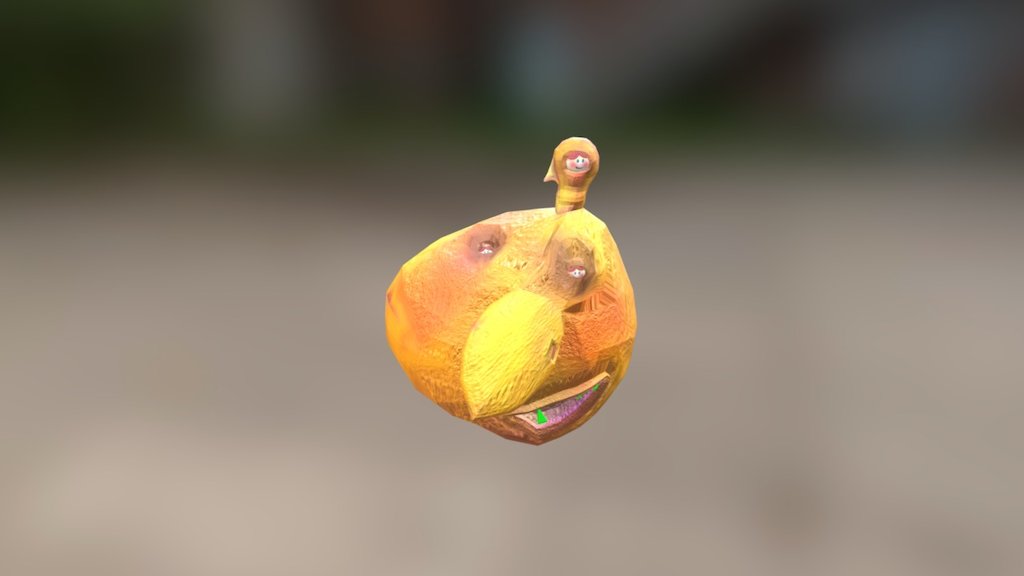 Orange bird face