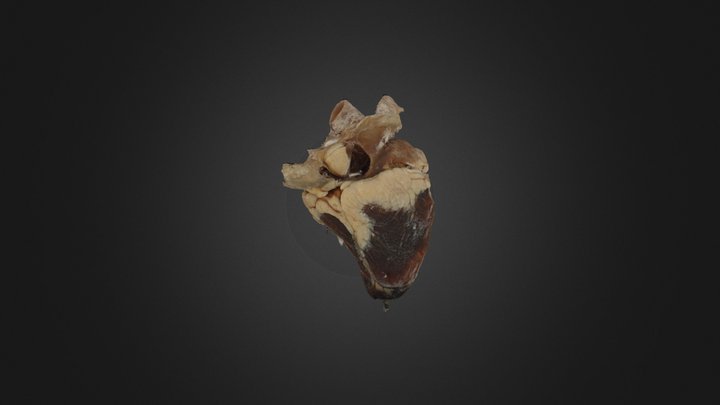 Ч13 3D Model