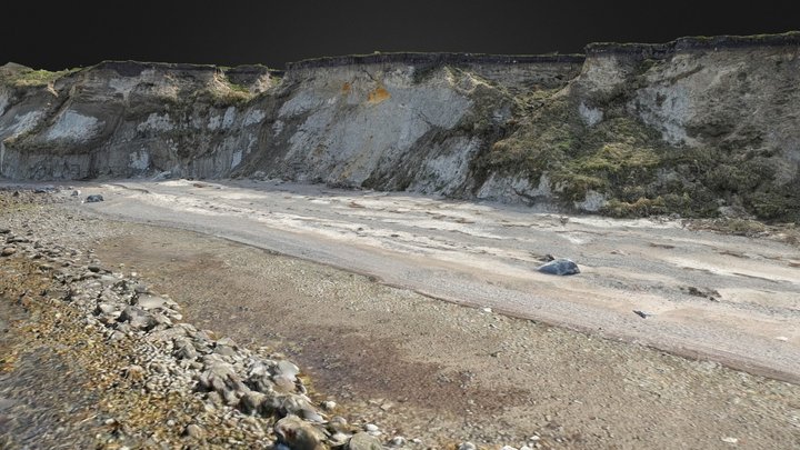 nature in high resolution - coast T_01 3D Model