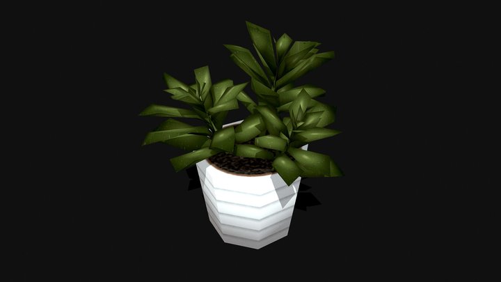 🪴pot plant - Jade plant🪴 3D Model