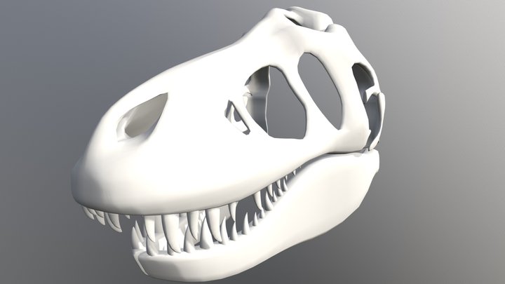 Dinosaur Skull 3D Model