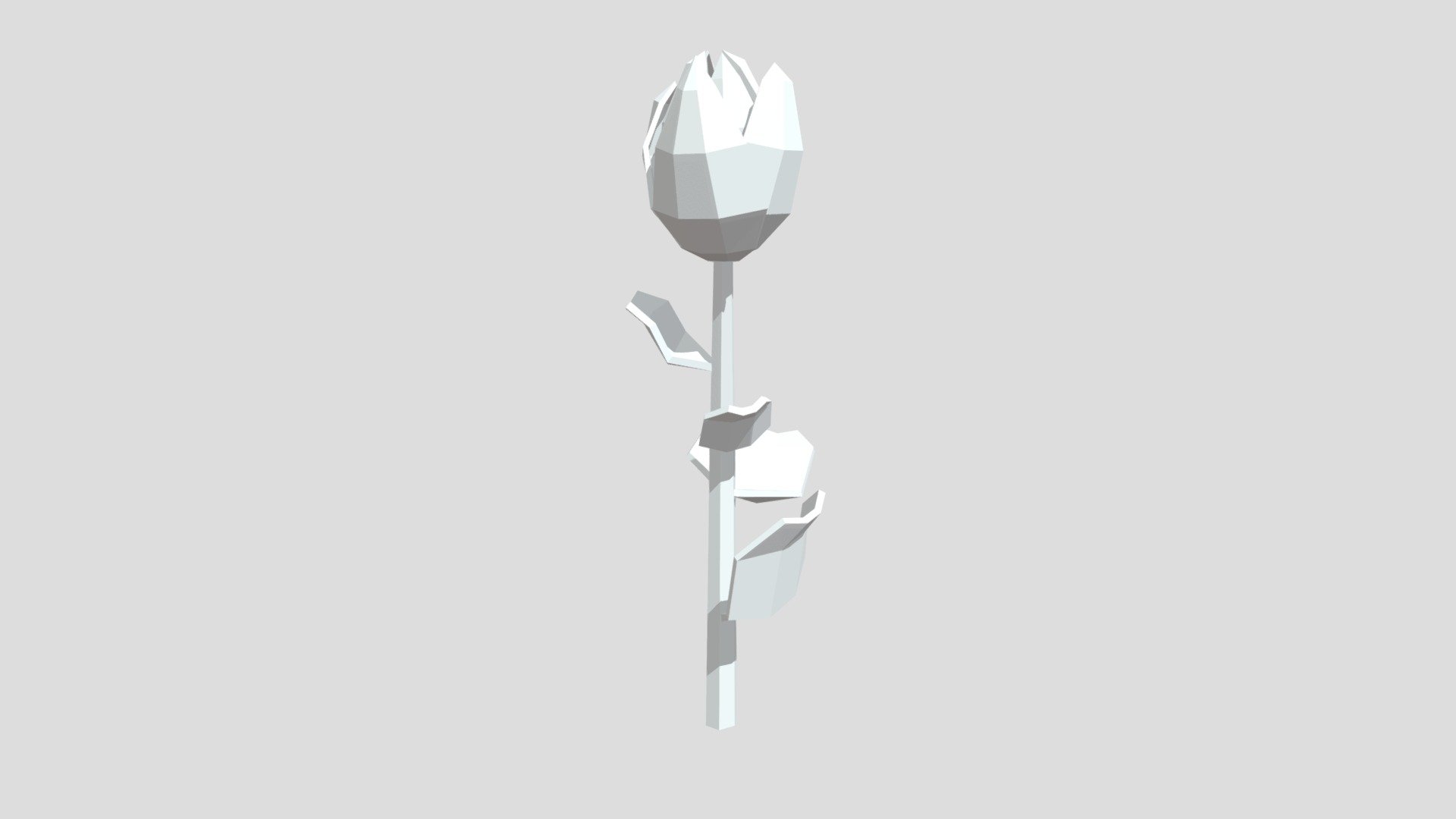 Tulip from Poly by Google