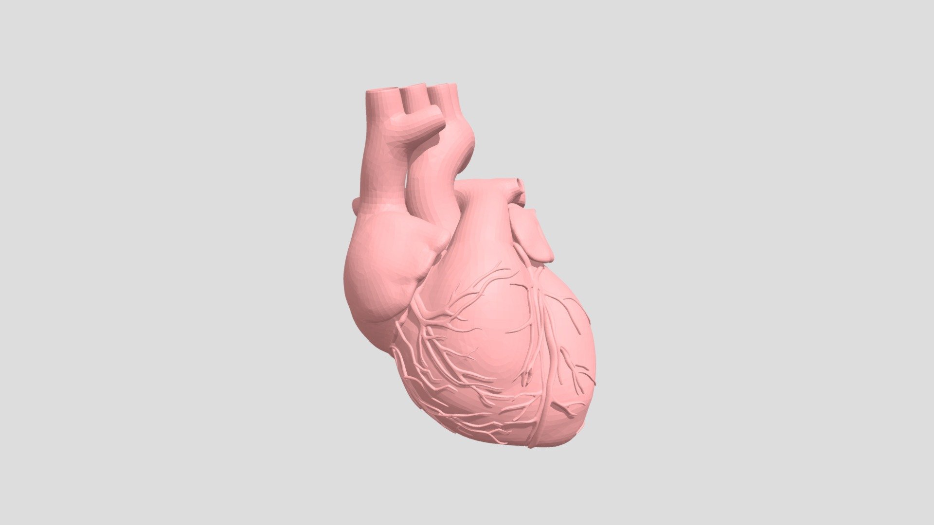 Heart - 3D model by hannah11172 [8ed4b32] - Sketchfab