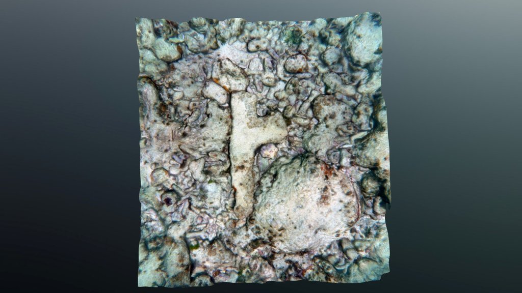 Eastern Sambo Reef - Letter A, Piece 1
