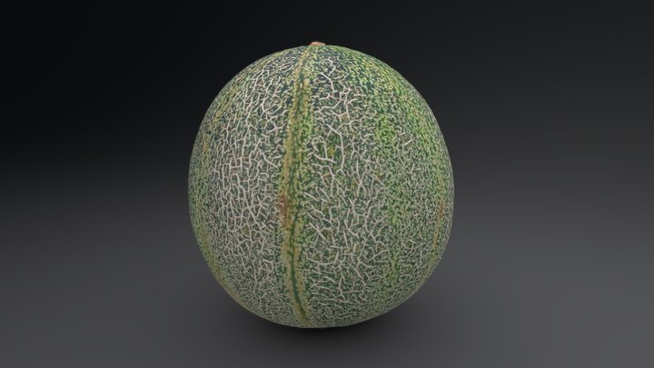 Ams Melon 3D Model