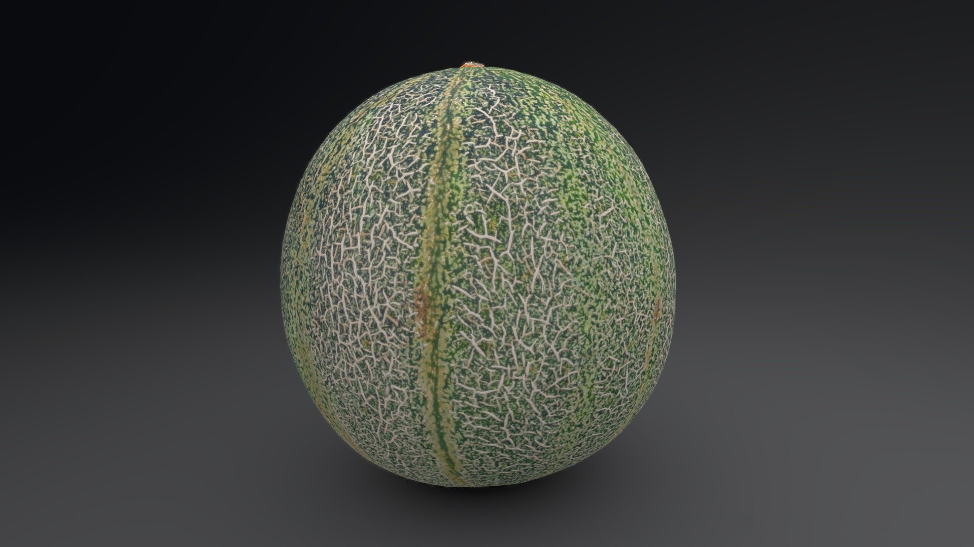 Ams Melon