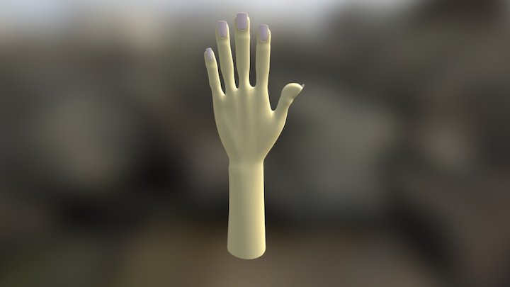 Hand 3D Model