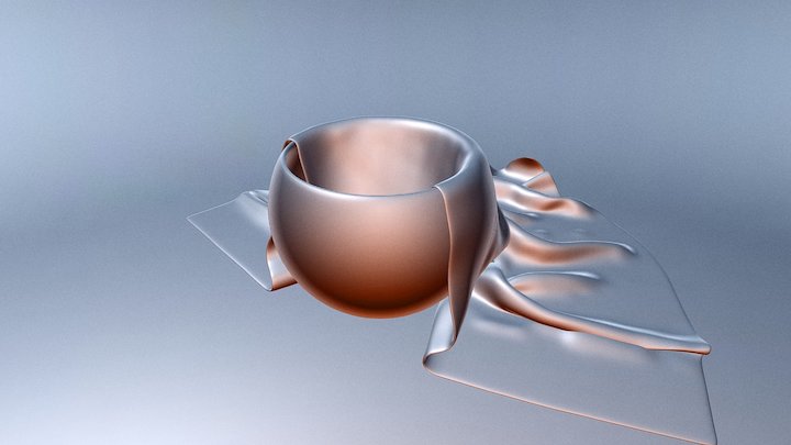 Cloth in a Bowl 3D Model